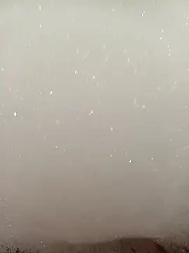 Snapshot of flo000031 chatting on January 2026 12:53:01 PM flo000031 online show from January 2026 12:53:01 PM