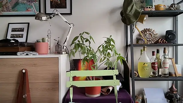 Snapshot of MikymikeBBWD chatting on November 2025 11:43:01 AM MikymikeBBWD online show from November 2025 11:43:01 AM