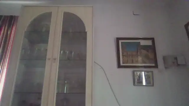 llopaco online show from November 2025 12:11:01 PM