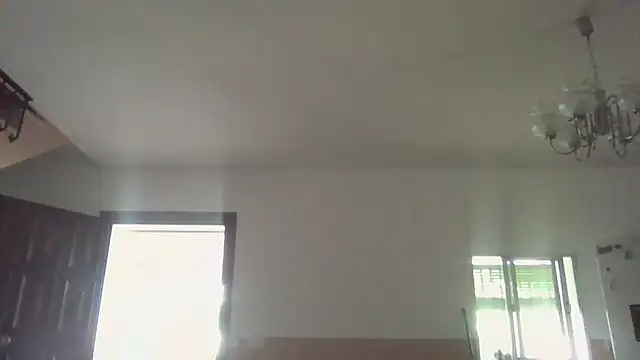 llopaco online show from June 2026 10:18:01 AM