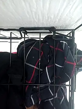 Snapshot of emily_envivo010 chatting on March 2025 08:01:02 PM emily envivo010 online show from March 2025 08:01:02 PM