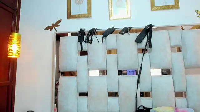 Snapshot of Braylen_Sanchez chatting on December 2025 03:08:02 PM Braylen Sanchez online show from December 2025 03:08:02 PM