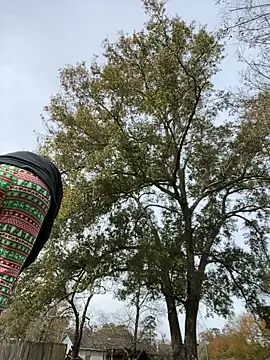 HTXBELLE online show from December 2025 05:07:02 PM