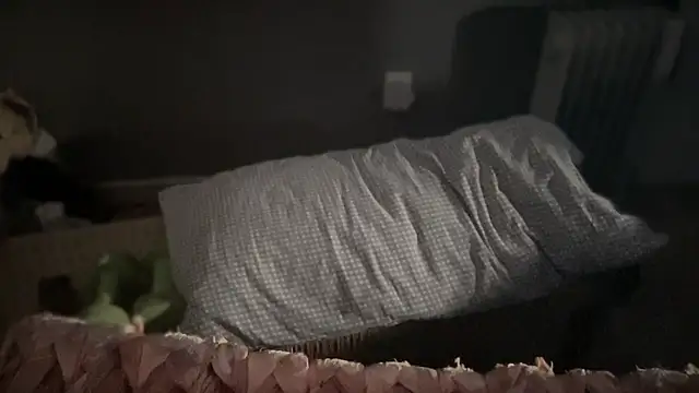 DominantDong online show from March 2025 11:56:02 PM