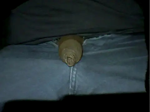 Mthondo-qinile online show from November 2025 09:30:02 PM