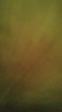 Sexlove1xo online show from March 2025 07:59:02 PM