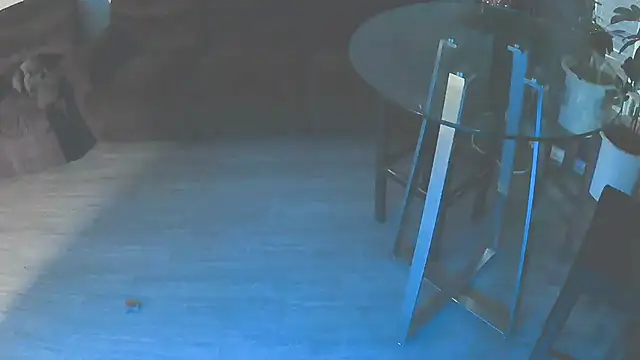 Snapshot of Fuckmehardandcloudy chatting on January 2026 11:41:02 PM Fuckmehardandcloudy online show from January 2026 11:41:02 PM