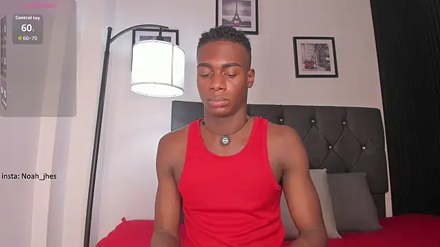 Snapshot of noah_johes chatting on August 2026 03:17:02 AM noah johes online show from August 2026 03:17:02 AM