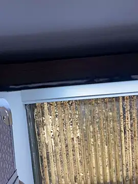 Madisson-Rivas online show from November 2025 06:07:02 PM