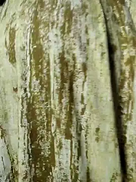 Snapshot of mens_weakness chatting on November 2025 06:49:01 AM mens weakness online show from November 2025 06:49:01 AM