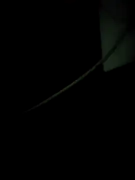 Snapshot of enoc369 chatting on December 2025 08:12:01 AM enoc369 online show from December 2025 08:12:01 AM