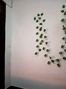 Neha-Bhabhi-Rasily online show from February 2026 11:11:01 AM