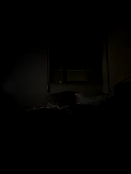 culatino online show from September 2025 02:11:02 AM