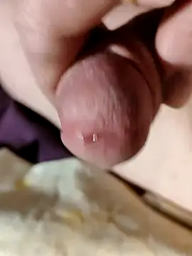 Snapshot of --Serhei-- chatting on February 2026 04:54:02 PM --Serhei-- online show from February 2026 04:54:02 PM