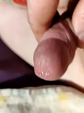 Snapshot of --Serhei-- chatting on February 2026 08:18:02 AM --Serhei-- online show from February 2026 08:18:02 AM