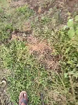 himvilohi08 online show from March 2026 01:15:01 PM