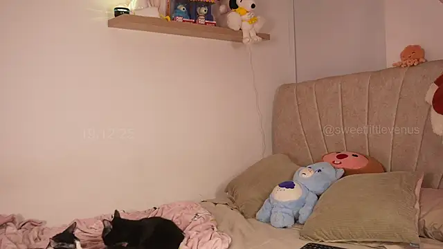 sweetlittlevenus online show from December 2025 10:06:02 PM