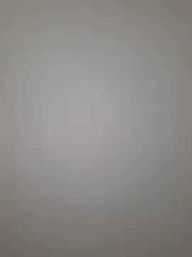 gleninst online show from January 2026 11:49:01 AM