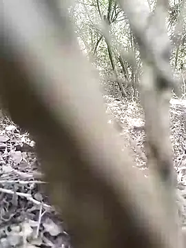 Snapshot of CertifiedSatisfier chatting on November 2025 10:37:01 AM CertifiedSatisfier online show from November 2025 10:37:01 AM