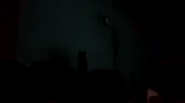 Snapshot of rasvinchi chatting on March 2025 10:54:01 PM rasvinchi online show from March 2025 10:54:01 PM