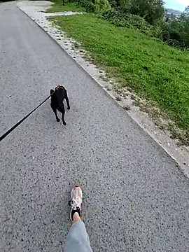 Snapshot of svenpfeifer chatting on September 2025 06:58:02 AM svenpfeifer online show from September 2025 06:58:02 AM