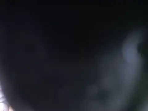 dario ventura0 online show from March 2025 01:41:02 AM