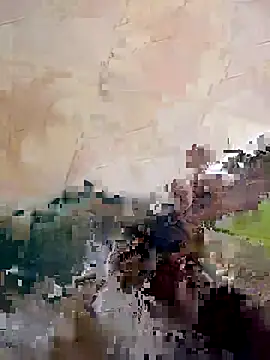 Snapshot of tarabhai11 chatting on November 2025 02:42:01 PM tarabhai11 online show from November 2025 02:42:01 PM