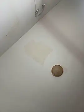 DarkVelvet online show from November 2025 12:04:01 PM