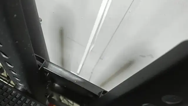 sophia dacord  online show from March 2026 01:44:02 PM