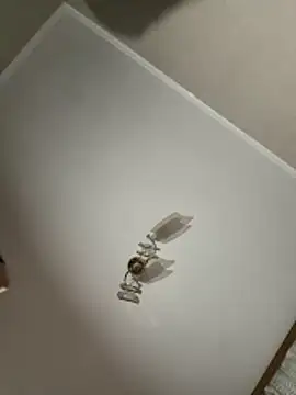 maar tina online show from October 2025 09:59:02 PM