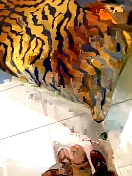 Dglo0000 online show from February 2026 04:46:02 AM