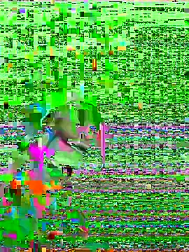 Snapshot of HenriquePhn chatting on February 2026 03:00:02 AM HenriquePhn online show from February 2026 03:00:02 AM