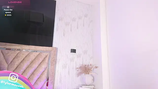 Taylor Harveey online show from November 2025 08:19:02 PM