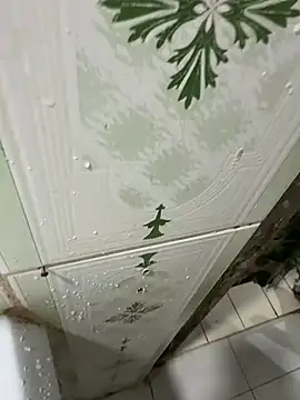 dilu98 online show from December 2025 01:22:02 AM