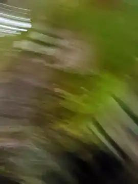 Snapshot of Pichoneterno chatting on March 2026 12:09:01 PM Pichoneterno online show from March 2026 12:09:01 PM