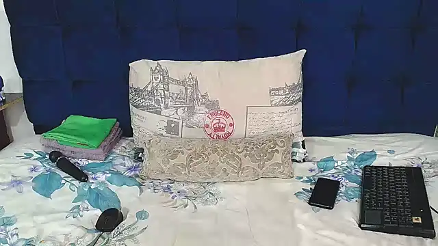 Snapshot of AriesCake chatting on January 2026 11:23:02 AM AriesCake online show from January 2026 11:23:02 AM