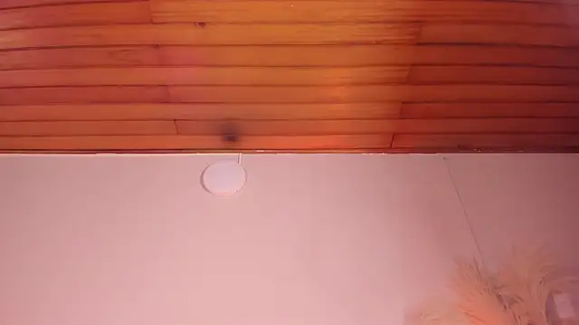 viol collins   online show from March 2025 12:14:02 PM