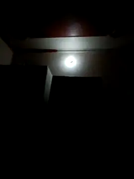 wildlkitten online show from March 2025 09:24:02 PM