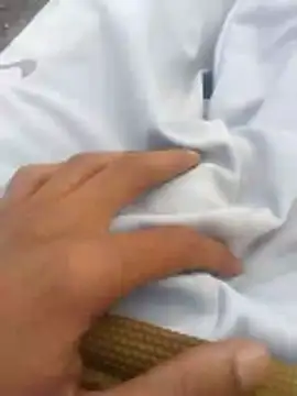 Snapshot of tiibcstuj chatting on February 2026 12:13:02 PM tiibcstuj online show from February 2026 12:13:02 PM