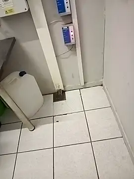 paptsimo online show from November 2025 02:44:02 AM