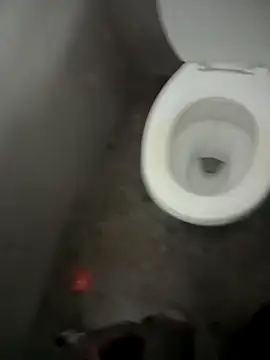 paptsimo online show from December 2025 07:53:02 PM