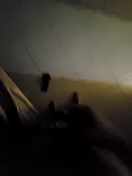 beto juby777 online show from November 2025 10:42:02 PM