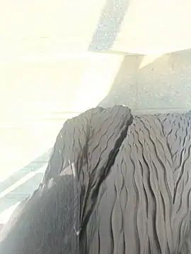 xiaoyuan01 online show from January 2026 02:25:02 AM