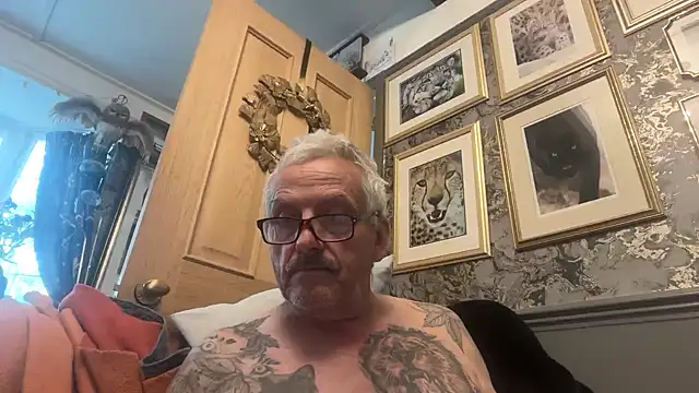 poggles online show from July 2026 05:21:02 AM