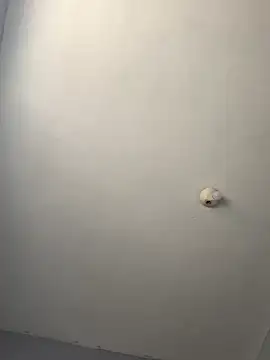 dailydosam online show from March 2026 12:20:02 PM