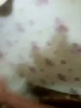 zim200 online show from April 2026 05:56:01 AM