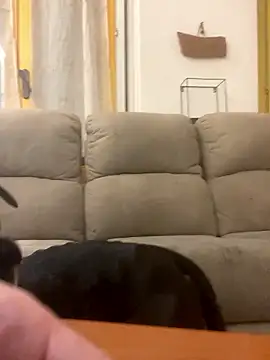 Snapshot of BestSexForYou chatting on January 2026 02:15:01 AM BestSexForYou online show from January 2026 02:15:01 AM