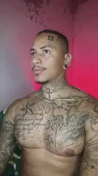 David tatto1 online show from February 2026 02:52:02 AM