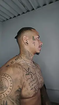 David tatto1 online show from May 2026 04:54:02 AM