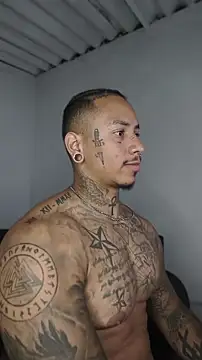 David tatto1 online show from May 2026 11:23:01 PM